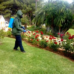 Trabajo de Jardinería